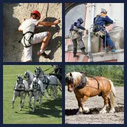 4 Pics 1 Word Level 3504