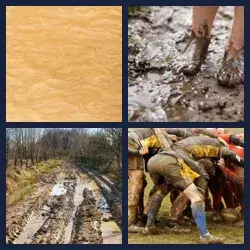 4 Pics 1 Word Level 3507