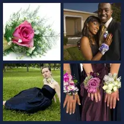 4 Pics 1 Word Level 3508