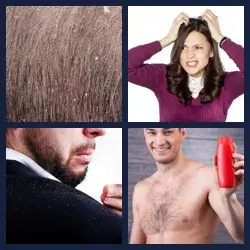 4 Pics 1 Word Level 3526