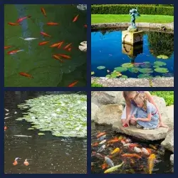 4 Pics 1 Word Level 3528