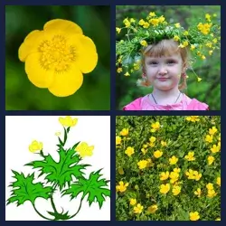 4 Pics 1 Word Level 3529