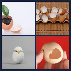 4 Pics 1 Word Level 3533