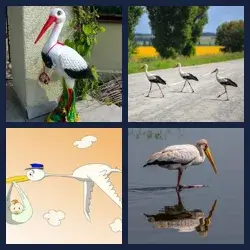 4 Pics 1 Word Level 3555