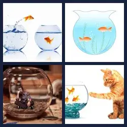 4 Pics 1 Word Level 3556