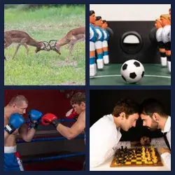 4 Pics 1 Word Level 3558