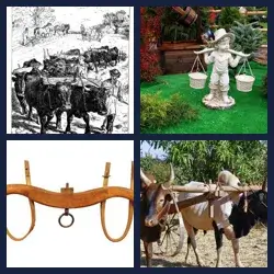 4 Pics 1 Word Level 3572