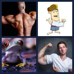 4 Pics 1 Word Level 3575