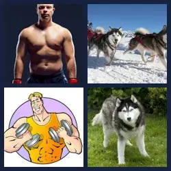 4 Pics 1 Word Level 3588