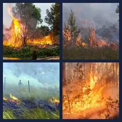 4 Pics 1 Word Level 3592