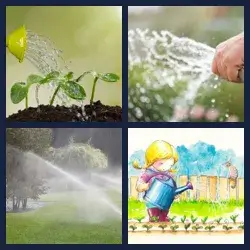 4 Pics 1 Word Level 3593