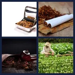 4 Pics 1 Word Level 3598