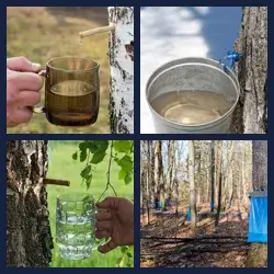 4 Pics 1 Word Level 3601