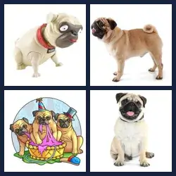 4 Pics 1 Word Level 3602