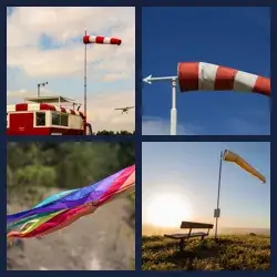 4 Pics 1 Word Level 3614