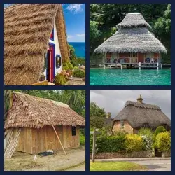 4 Pics 1 Word Level 3615