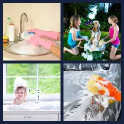 4 Pics 1 Word Level 3617