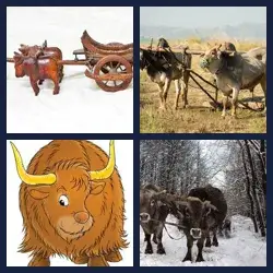 4 Pics 1 Word Level 3618