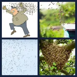 4 Pics 1 Word Level 3619