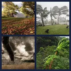 4 Pics 1 Word Level 3622