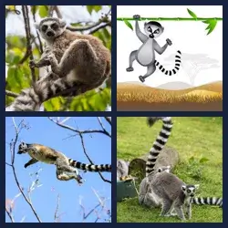 4 Pics 1 Word Level 3640