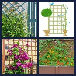 4 Pics 1 Word Level 3643