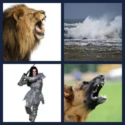 4 Pics 1 Word Level 3650