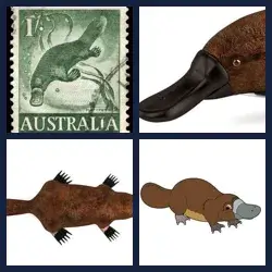 4 Pics 1 Word Level 3654