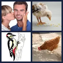 4 Pics 1 Word Level 3658