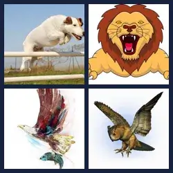 4 Pics 1 Word Level 3662