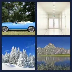 4 Pics 1 Word Level 3666