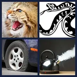 4 Pics 1 Word Level 3669