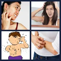 4 Pics 1 Word Level 3673