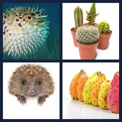 4 Pics 1 Word Level 3679