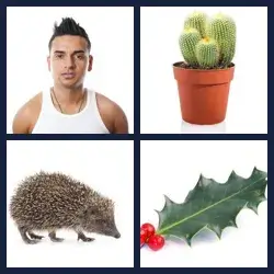 4 Pics 1 Word Level 3681