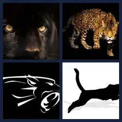 4 Pics 1 Word Level 3682