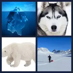 4 Pics 1 Word Level 3688