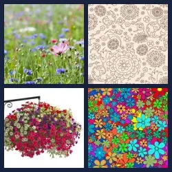 4 Pics 1 Word Level 3696