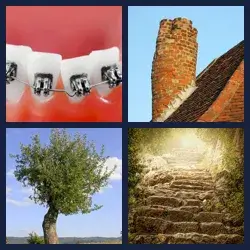 4 Pics 1 Word Level 3710