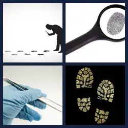 4 Pics 1 Word Level 3712