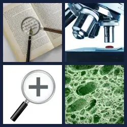 4 Pics 1 Word Level 3713