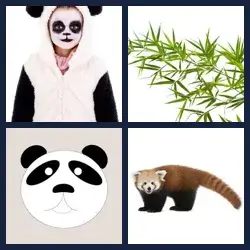 4 Pics 1 Word Level 3733