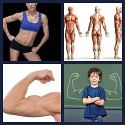 4 Pics 1 Word Level 3736