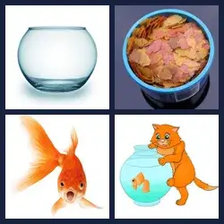 4 Pics 1 Word Level 3744