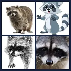 4 Pics 1 Word Level 3745