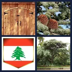 4 Pics 1 Word Level 3747