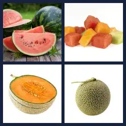 4 Pics 1 Word Level 3755