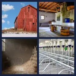 4 Pics 1 Word Level 3778