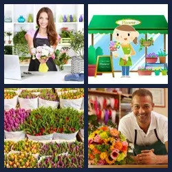 4 Pics 1 Word Level 3779