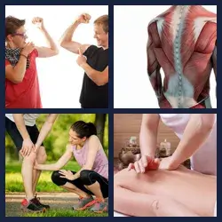 4 Pics 1 Word Level 3788